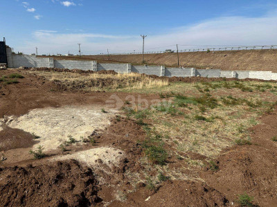 WhatsApp Image 2025-06-02 at 15.53.34 (1).jpeg